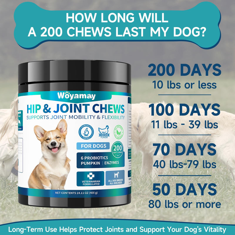Dog Joint Supplement, Dog Hip and Joint Supplement Dogs, 200pcs Glucosamine for Dogs with, MSM, Chondroitin, Vitamins C & E for Large Breed, Joint Supplement for Dogs, Chicken Flavor Standard Strength