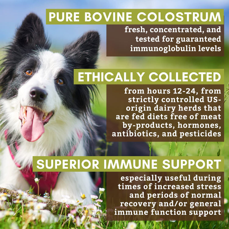 Wholistic Pet Organics: Bovine Colostrum Powder for Dogs and Cat Organic Dog Immune Supplement for Allergy and Itch Relief Colostrum for Puppies Allergy Medication for Dogs (2 oz) 2 oz - PawsPlanet Australia