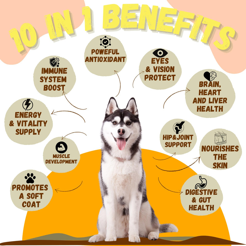 Dog Vitamins Chews- Treats – Glucosamine Chondroitin for Joint Support + Digestive Enzymes & Probiotics – for Small Large Breeds-Vitamins Multivitamin for Skin, Coat & Immune Health