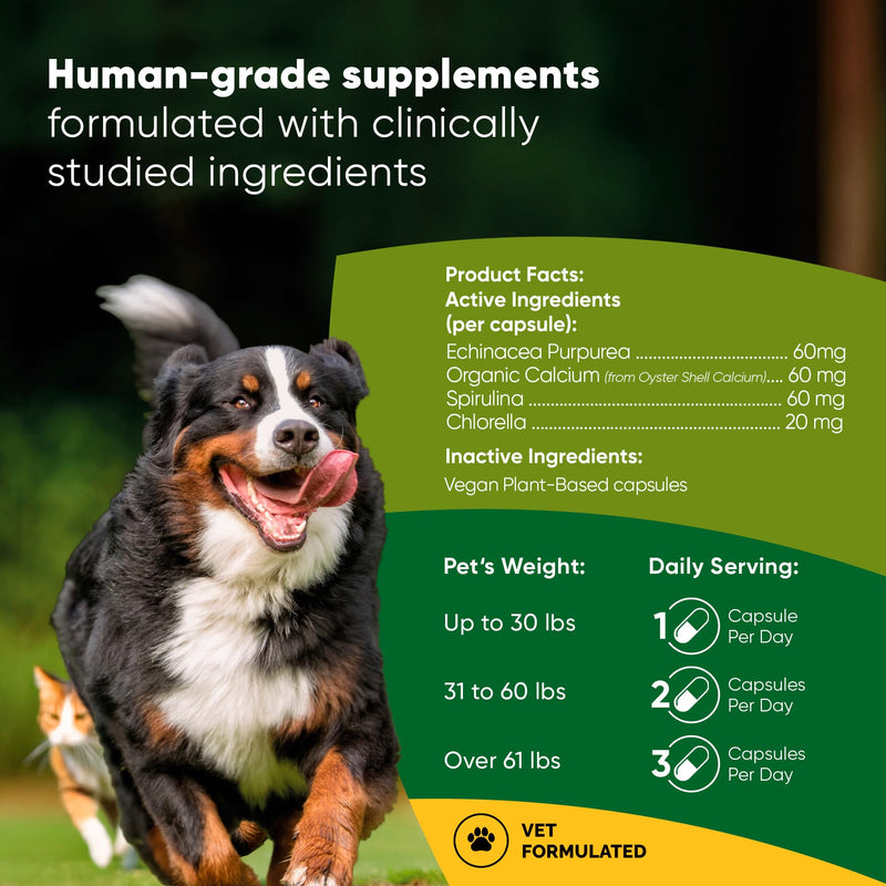 Natural Immunity - Cat and Dog Immune Support - Triple Mushroom Supplement for Dogs & Cats with Reishi, Shiitake and Maitake Mushrooms - 60/ct Vegan Capsules Mushroom Blend - Immunity