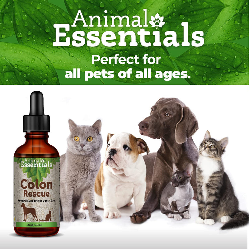 Animal Essentials Colon Rescue Herbal GI Support for Dogs & Cats (Various Sizes) - Made in USA Digestive Aid, Phytomucil Blend 1-Pack - PawsPlanet Australia