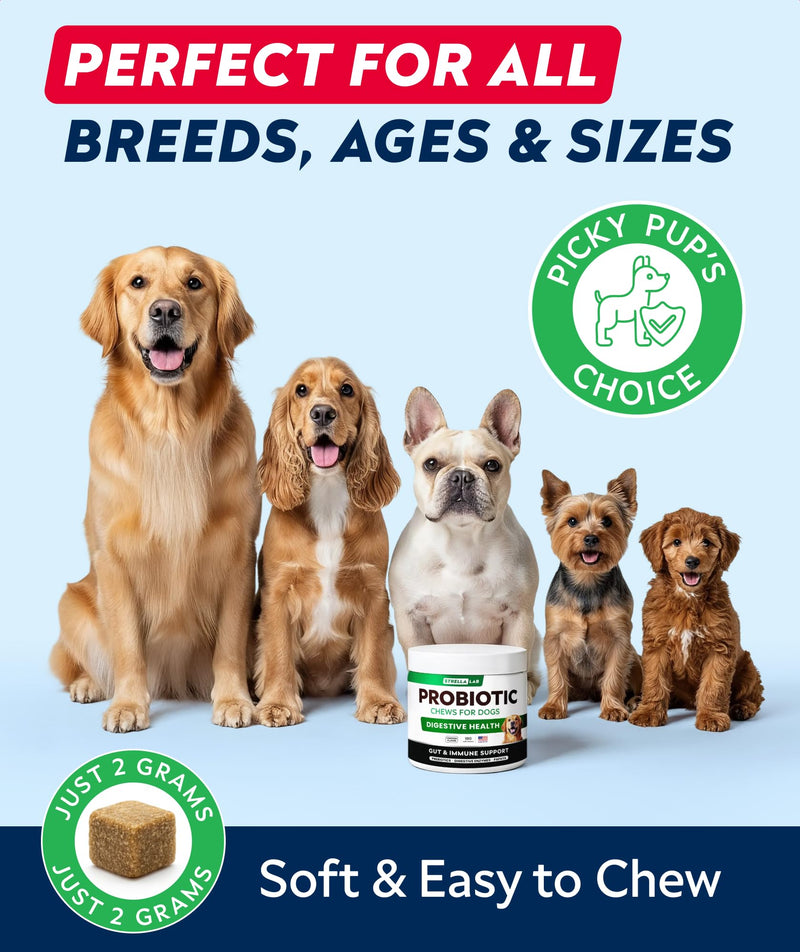 STRELLALAB Dog Probiotics Chews for Gut Support & Digestive Health with Enzymes - Anti Diarrhea and Upset Stomach Immune Supplement - Digestion Treats with Fiber and Prebiotics (180Ct, Chicken) 180Ct (Chicken) Probiotic Chews