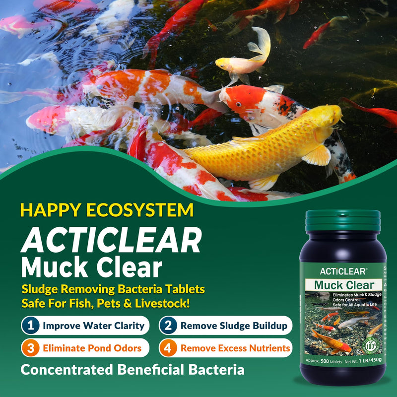 Muck Clear – Natural Pond Sludge Treatment, 500 Tablets for Ponds, Fountains & Bird Baths, Beneficial Bacteria & Enzymes, Chemical-Free & Safe for Fish, Pets & Wildlife 1LB