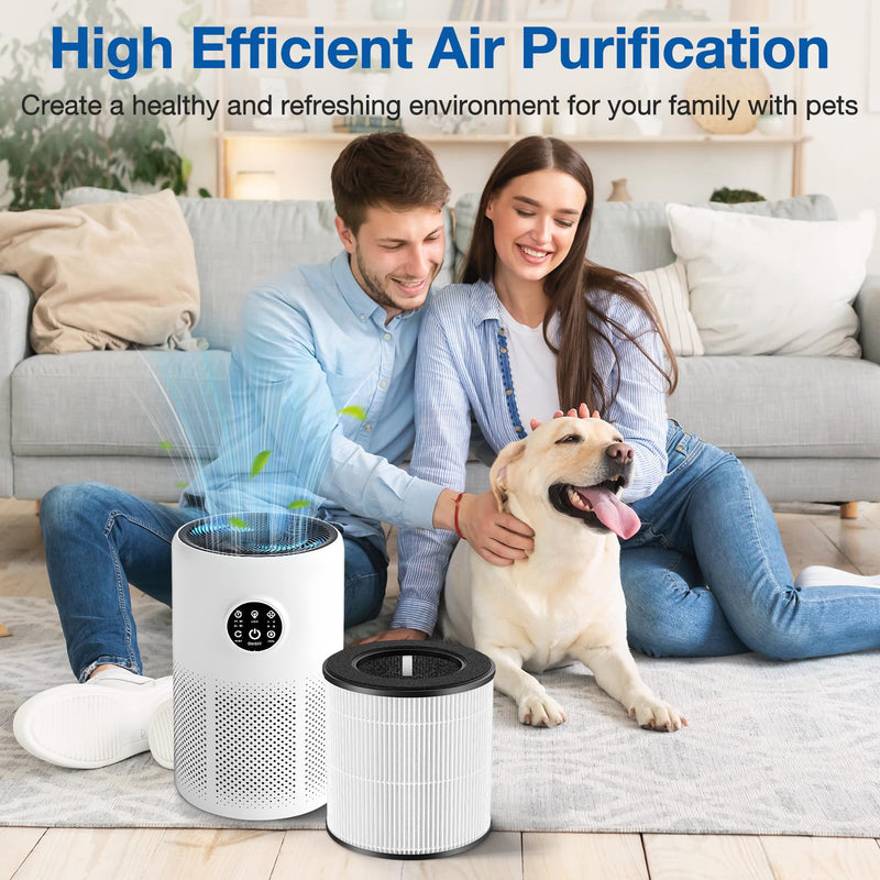D10 Replacement Filter Compatible with Tailulu D10 Air Purifier, 2 Pack