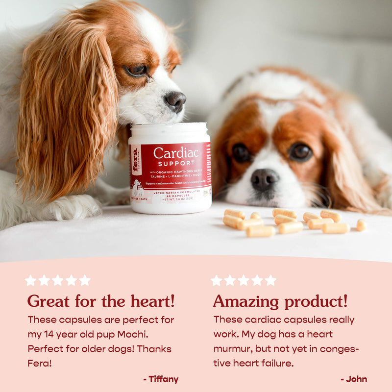FERA Cardiac Support Supplement for Dogs Cats, Taurine, L-Carnitine, CoQ10, Organic Hawthorn Berry, Vitamin E, Promotes Cardiovascular Heart Health, Healthy Circulation 60 capsules - PawsPlanet Australia