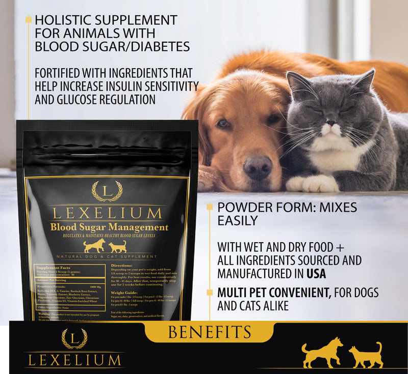 Blood Sugar Management for Diabetic Dogs and Cats- Vet-Formulated Powder Formula -Supports & Regulates Healthy Blood Sugar Levels- Supplements Insulin Sensititivity & Glucose- Made in The USA -200g - PawsPlanet Australia