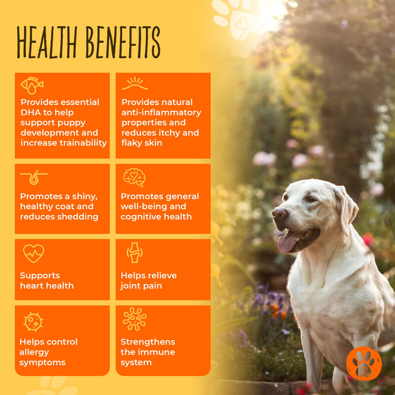 Omega-3 Fish Oil for Dogs by Pawsomely Healthy - High in EPA, DHA - Allergies, Itching, Shedding - Supports Immune System, Skin, Coat, Heart, Joints - 90 Powder Capsules - PawsPlanet Australia