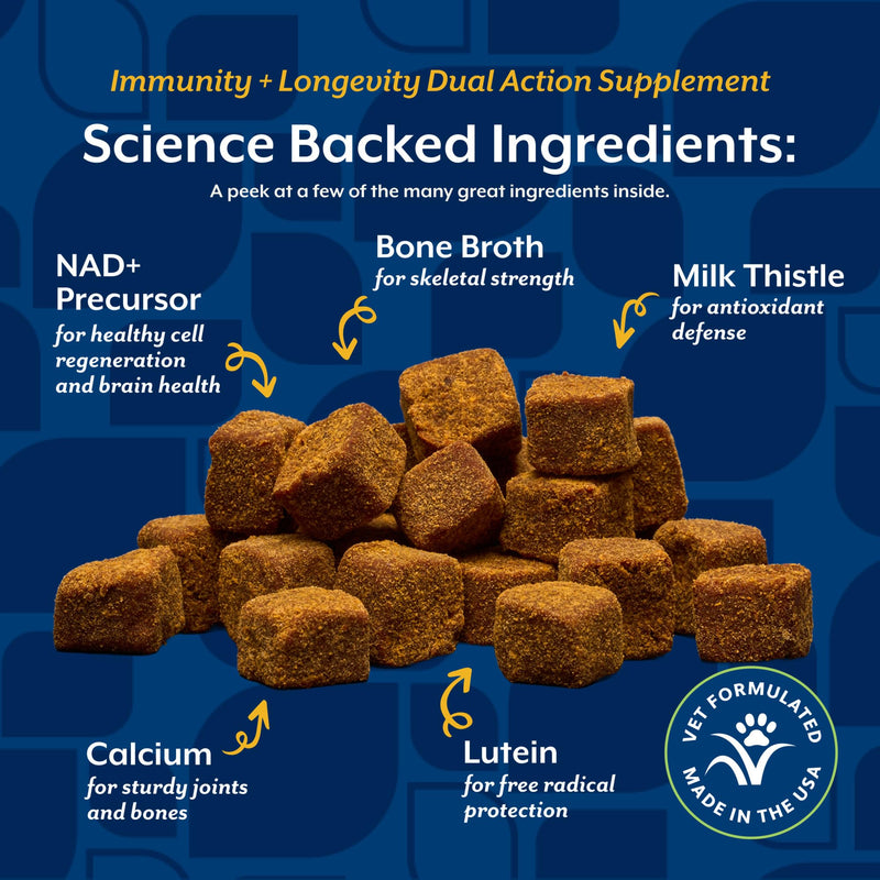 NaturVet Immunity + Longevity Dual Action Supplement for Dogs, Helps Support Immune Response & Cellular Health with NAD+ Precursor, Milk Thistle, Lutein, & Zinc, 60 Hickory Bacon Soft Chews