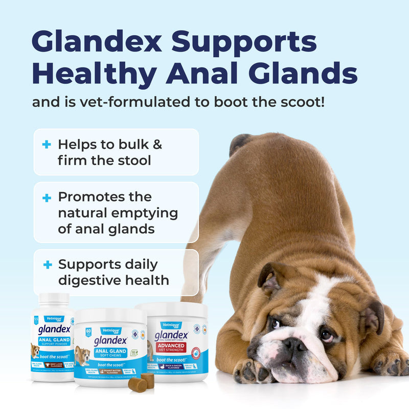 Vetnique Labs Ulti-Mutt Glandex for Dogs with Glandex Bacon Prebiotic & Probiotic Supplement Chews 60 Ct, Glandex Peanut Butter Anal Gland Support Chews 60 Count, Anal Gland Hygienic Pet Wipes 100 Ct