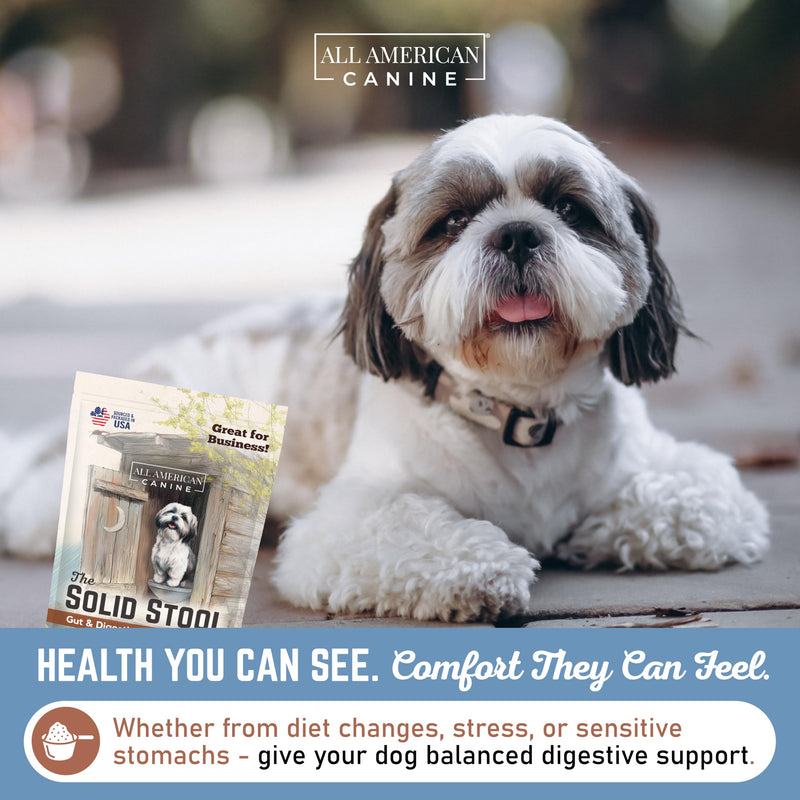 All American Canine The Solid Stool Pumpkin for Dogs Stool Hardener & Fiber - Anal Gland Support Powder with Probiotics & Digestive Enzymes - Fast Acting Gut Health - Made in USA - Beef Broth, 8oz
