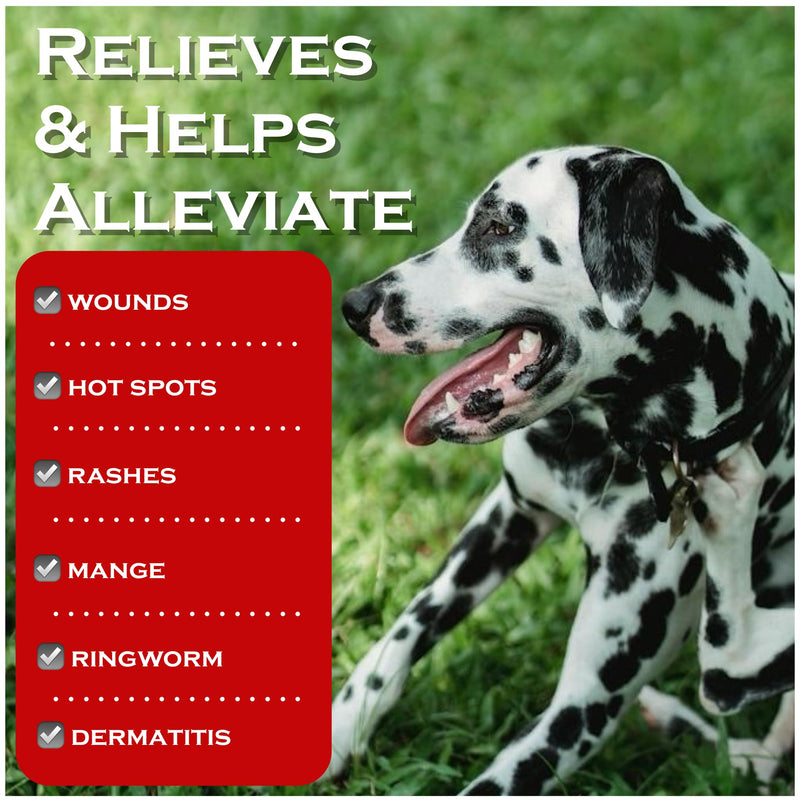 Show Out Skin & Wound Spray for Dogs & Cat - Remedy for Dog Hot Spot, Cleans and Repairs skin, Wound Care, Relief for Hot Spots, Skin Allergies, Dry, Itching Skin (Makes 32 oz of Solution for Pet)
