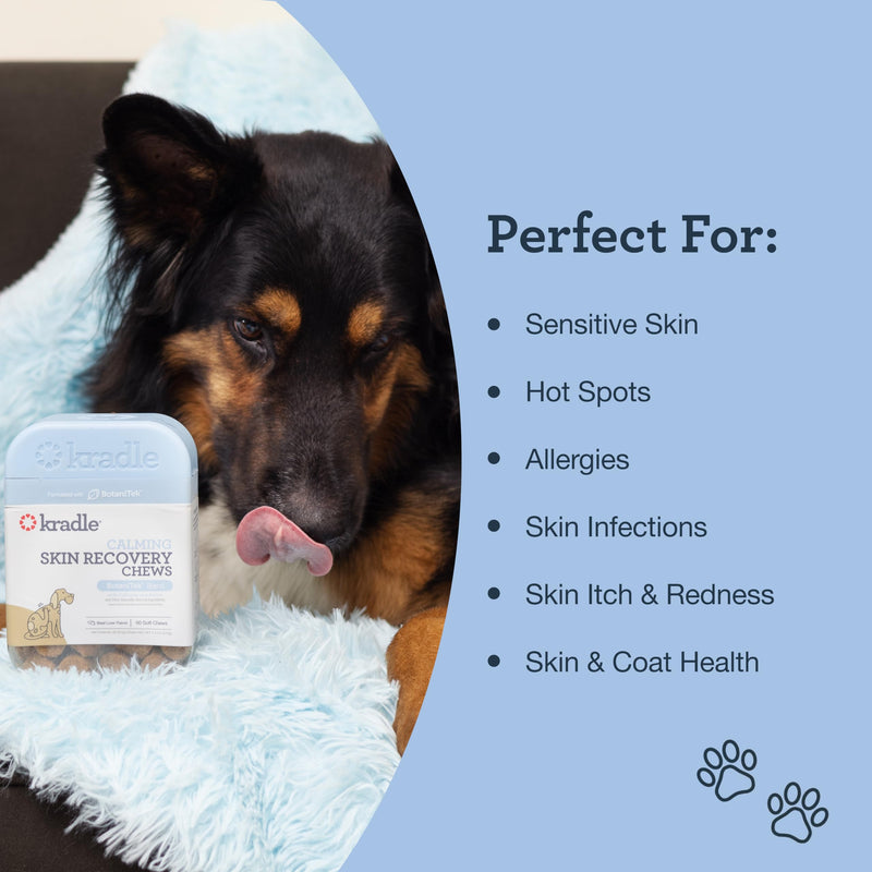 Kradle Daily Skin Recovery Chews - Skin Health Chews & Seasonal Allergy Support for Dogs - Soft Chews with Soothing Ingredients - for All Dog Breed & Sizes - 75 Count Jar - PawsPlanet Australia