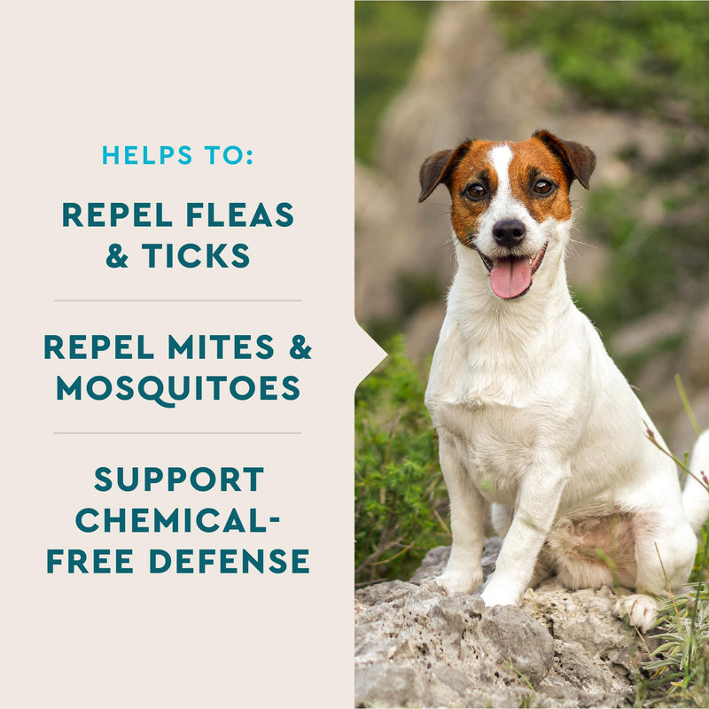 VetIQ Flea & Tick Support for Dogs, Flea and Tick Chewable, Supports Dog's Natural Flea Defenses, Free of Added Chemicals and Garlic, Hickory Smoke Flavor, 60 Count