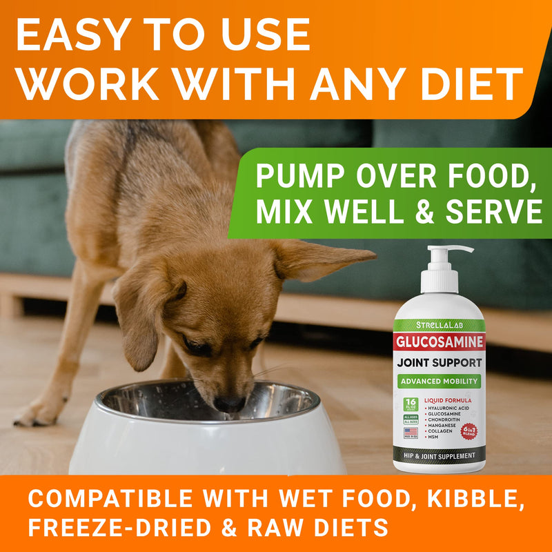 StrellaLab Liquid Glucosamine for Dogs (16 OZ) - All-Natural Hip & Joint Supplement for Dogs, Glucosamine Chondroitin Liquid, MSM & Collagen for Dogs Mobility, Joint Pain Relief for Small & Large Dogs - PawsPlanet Australia