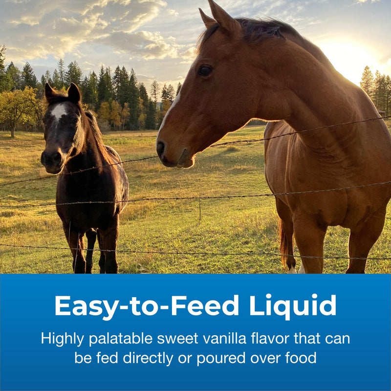 Pet-Ag Dyne High Calorie Liquid Nutritional Supplement for Livestock - 32 oz - Includes Added Vitamins - Excellent for Underweight, Stressed, or Recovering Animals