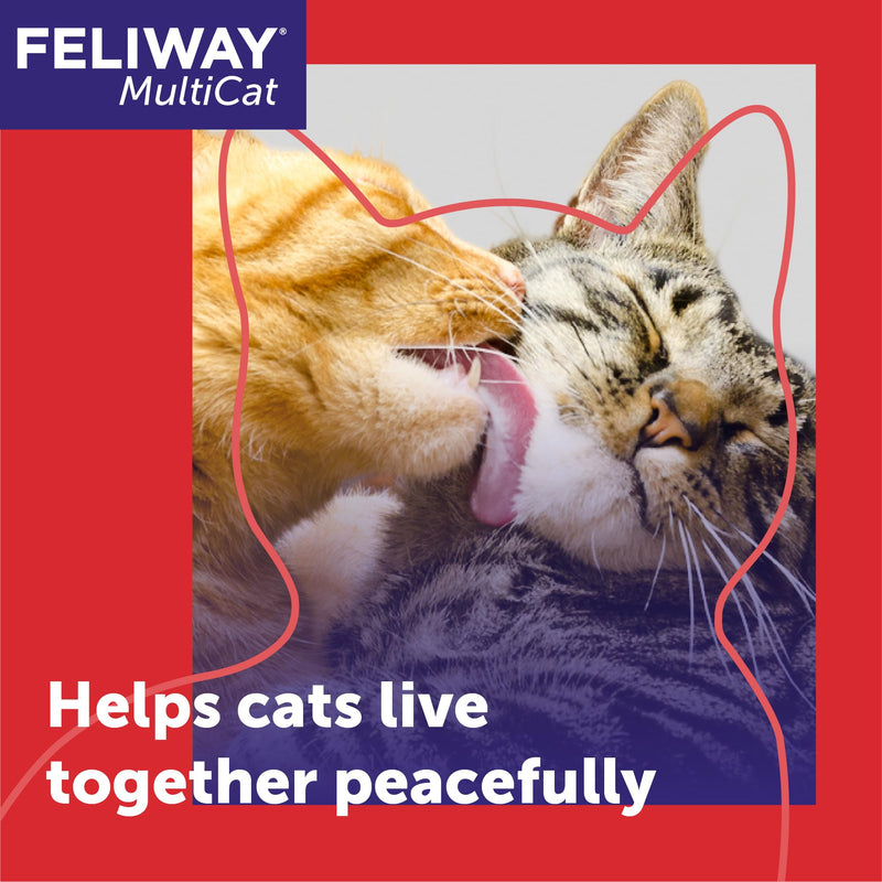 FELIWAY MultiCat Cat Calming Diffuser Refill (3 Pack, 90 Day Supply ) – Helps Reduce Fighting, Tension & Aggression Between Cats – Cat Pheromone Diffuser Refill for Multi‑Cat Homes 3 Count (Pack of 1)