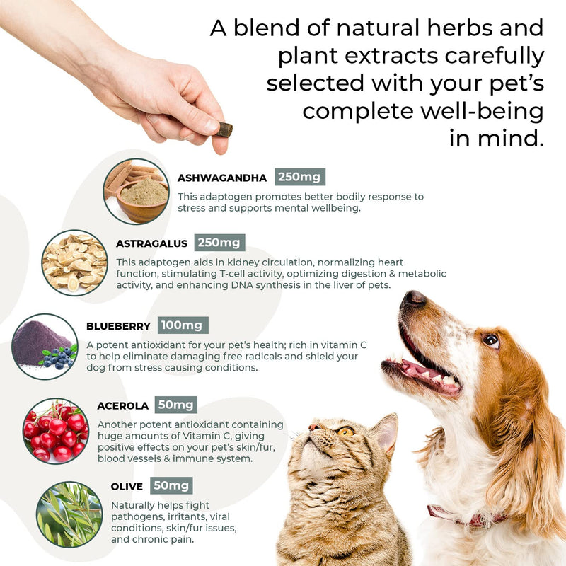 Real Mushrooms Immune Pet Chews (60ct) & Relax Pet Chews (60ct) - Bundle for Immunity, Relaxation & Longevity - Reishi, Lion’s Mane, Ashwagandha, Astragalus & More - Vegan, Non-GMO, Gluten-Free - PawsPlanet Australia