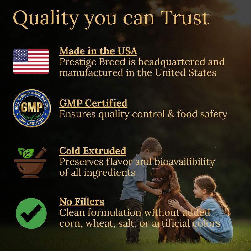 Irish Setter Multivitamins, 90 Count, Made in the USA with Real Bacon.