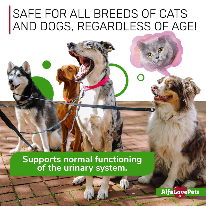 Natural Kidney Support for Dog UTI & Cat UTI - Canine Urinary Tract Care w/ Cranberry - Cat Bladder & Dog Kidney Essentials - Organic Supplement - Made in USA Drops for Dog Kidney Support (2 Oz) - PawsPlanet Australia