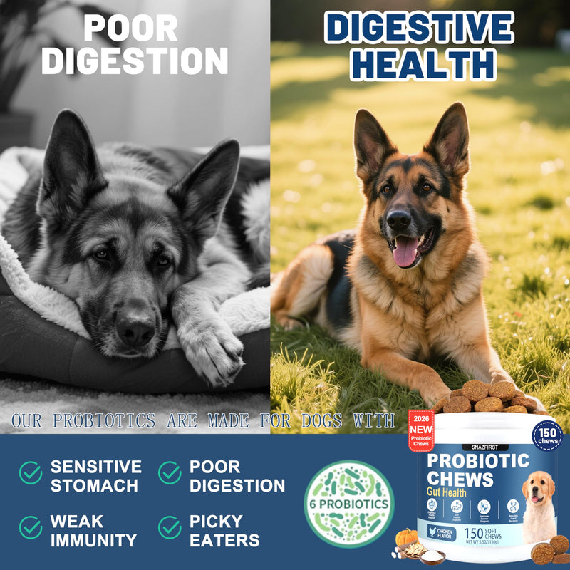 Probiotics for Dogs, Dog Probiotics Chews for Digestive Health & Gut Health, Improve Immune System,Constipation & Diarrhea Relief(Chicken Flavor, 150 Chews) 150 CHEW