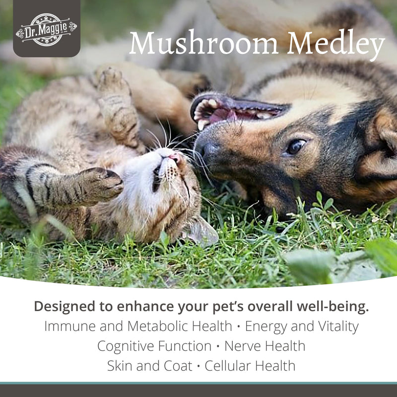 Dr. Maggie Mushroom Medley | Organic Mushroom Powder with Cordyceps Maitake Shiitake Chaga Turkey Tail and Lions Mane for Dogs and Cats | 88g