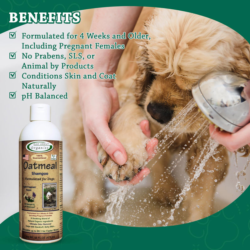Oatmeal Dog Shampoo for Itchy Skin - Gentle, pH-Balanced with Calming Vanilla & Lavender - Ideal for Dry, Flaky & Sensitive Coats - Mild Formula for Comfort - 16 oz Made in USA 16 Ounces - PawsPlanet Australia