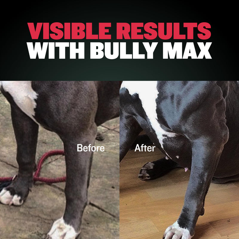 Bully Max 2-in-1 Muscle Builder Chewable Tablets for Puppies & Adult Dogs - Ultimate Canine Dog Supplement for Muscle Gain - 60 Tabs 60 tablet bottle (180g) - NewNest Australia