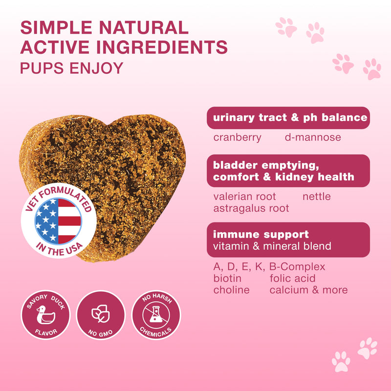 Dog UTI Support Chews with Cranberry & D-Mannose – Cranberry Supplement for Dogs, Urinary Tract & Bladder Support for Dogs, Dog Bladder Control, Kidney Health, Soft Duck Chews, 120 Bites