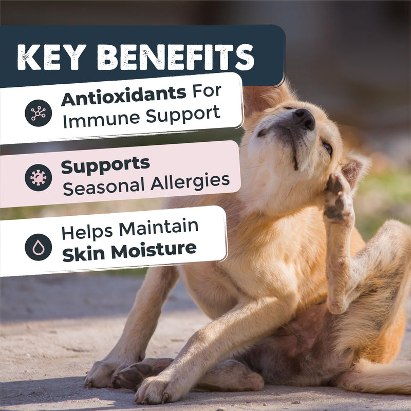 Mighty Paw Waggables Allergy Immune + Itch (Made in The USA) -Dog Chews Anti-Itch for Dogs. Allergy Support Vitamins for Skin and Coat Allergies. Omega 3 & Quercetin for Pets 120 Ct Allergy Chews - PawsPlanet Australia