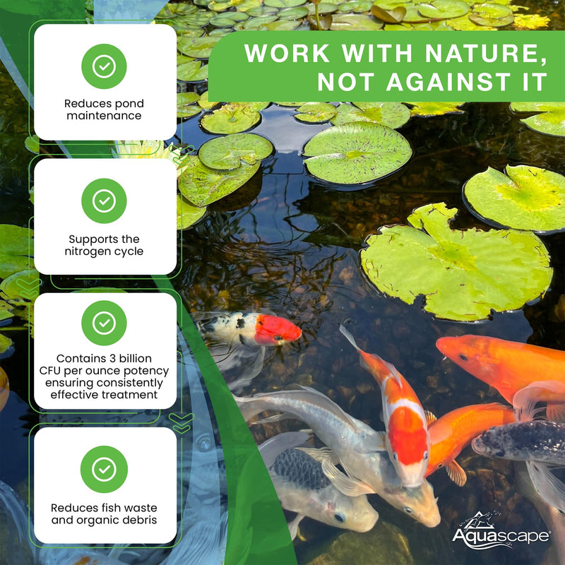 Aquascape Dry Beneficial Bacteria for Pond and Water Features, 4.4-Ounce | 98925,White 0.28 lb