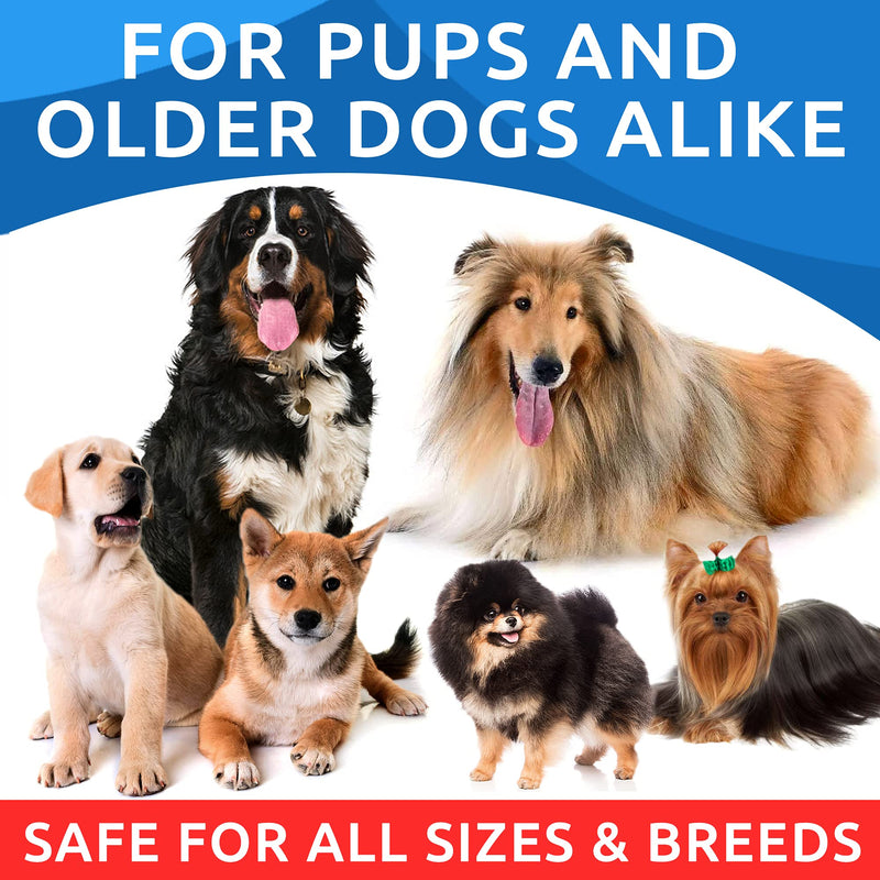No Poo Chews + Omega 3 Fish Oil Treats Bundle - Stop Dog Poo Eating - Dog Shedding, Skin Allergy, Itch Relief - Digestive Enzymes & Breath Aid Support - Made in USA