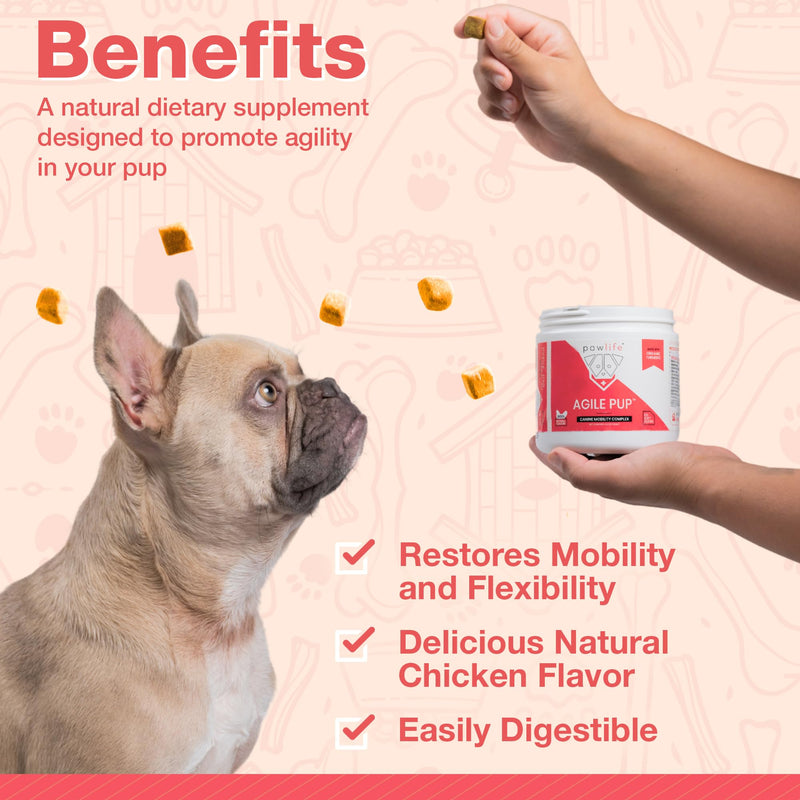 Arthritis Dog Joint Chews| Glucosamine, Chondroitin, Omega-3| MSM Support for Healthy Joints| 120ct Veterinarian Formulated Soft Chews| Up to 4-Month Supply - PawsPlanet Australia