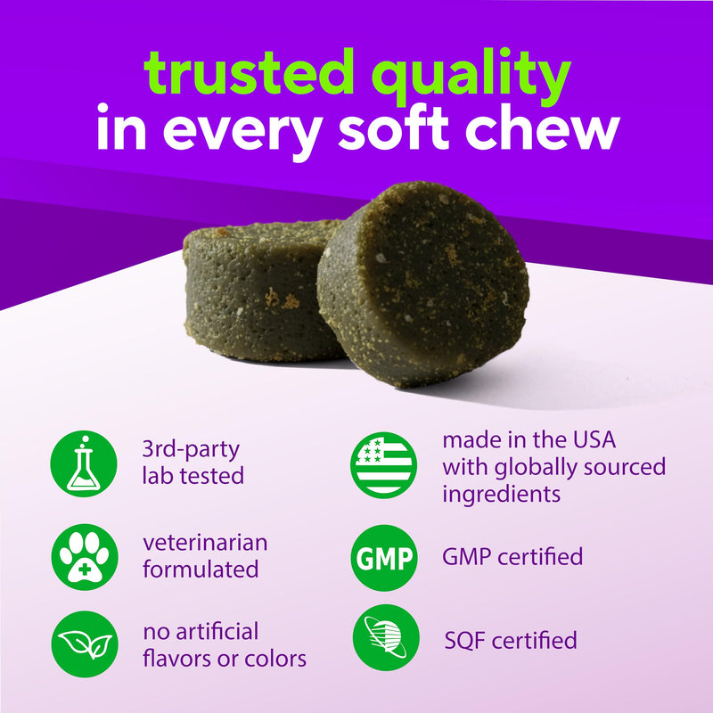 VitaFusion Probiotics for Dogs, Gut & Digestive Health Support with Colostrum & Quercetin, Immune & Seasonal Allergy Support, Superfood Vitality Blend, Beef Flavor120 Soft Chews. Probiotics and Immunity Support