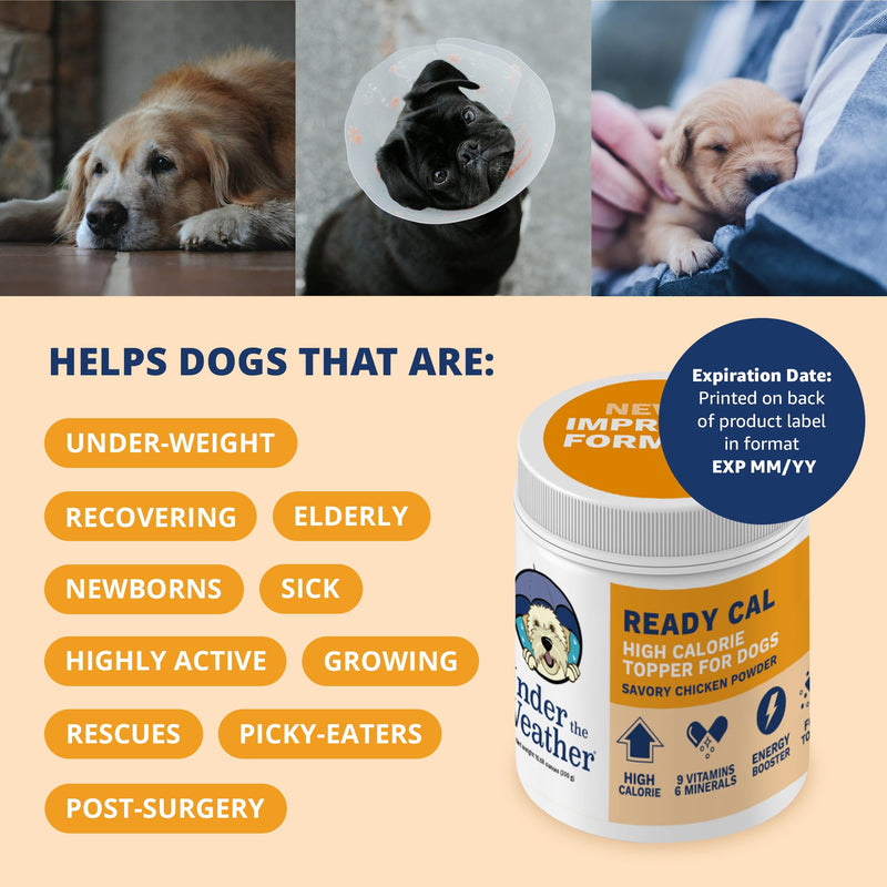 Under the Weather Ready Cal Powder for Dogs, High-Calorie Weight Gainer & Appetite Stimulant, Dog Energy Booster Veterinarian-Approved Pet Supplement with Vitamins & Minerals, Chicken Flavor |10.58 oz For Dogs - Ready Cal Powder