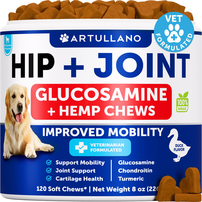 Hemp Hip and Joint Supplement for Dogs - Glucosamine for Dogs Joint Pain Relief - Chews with Chondroitin, MSM, Hemp Oil - Mobility Support, Cartilage Health - For Large, Small breeds - 120 Soft Treats Hip & Joint Hemp Chews 8 oz