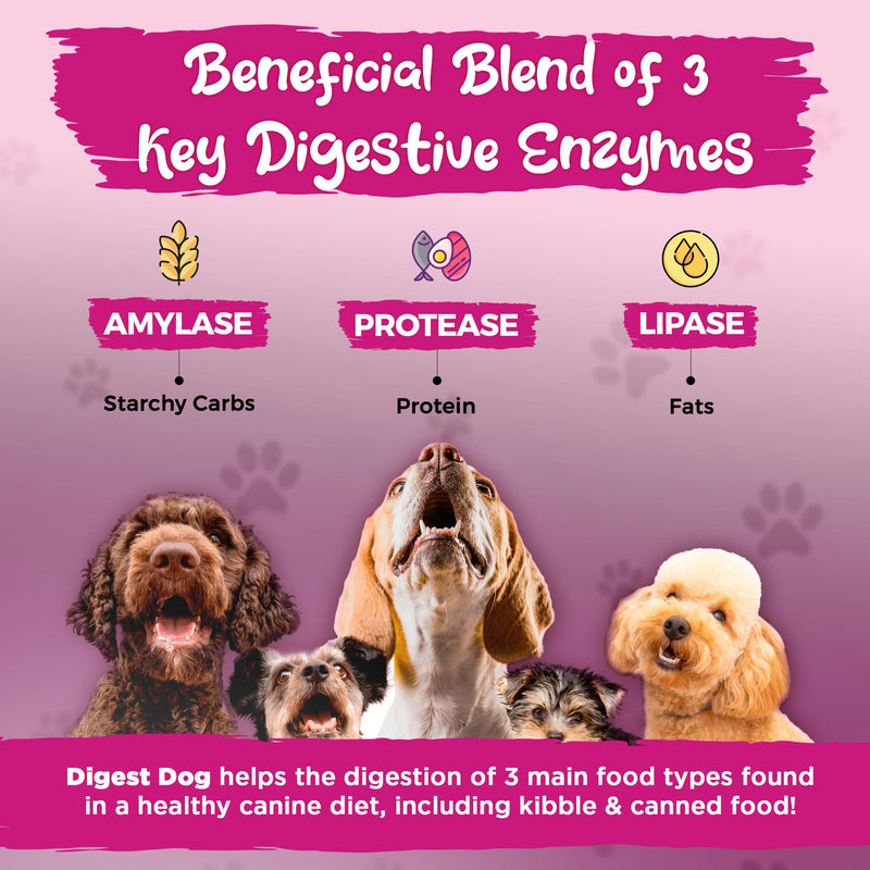 Vital Planet - Digest Dog Digestive Pancreatic Enzyme Blend with Pumpkin and Fennel to Support The Pancreas and Healthy Digestion with Pancreatin, Beef Flavored Powder for Dogs - 111 Grams 30 Scoops - PawsPlanet Australia
