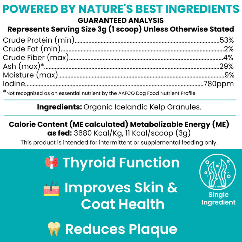 Kelp Supplement for Dogs - 16 oz of Kelp Powder Granules with 5cc Spoon - Good for Healthy Thyroid Function, Reduce Dental Plaque, and Skin Health - Made in the USA