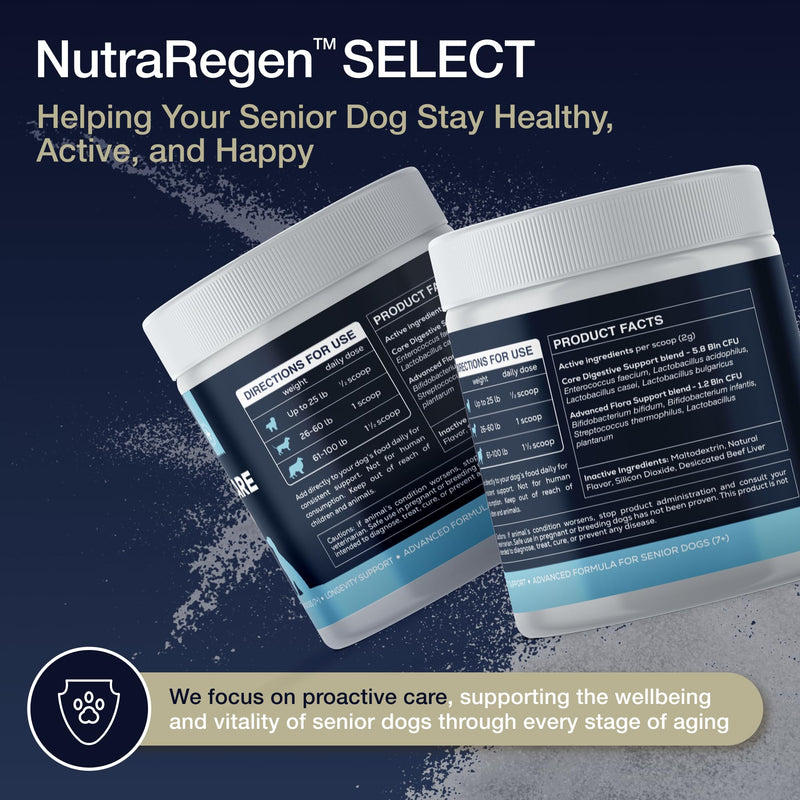 Nutraregen Digestive Dog Probiotic Powder 30 Scoops | Beef Flavored Dog Probiotics for Digestive Health, Supports Gut Health, Scratching, Itchy & Dry Skin, Allergies 2.1 Oz | 7 Bn CFU
