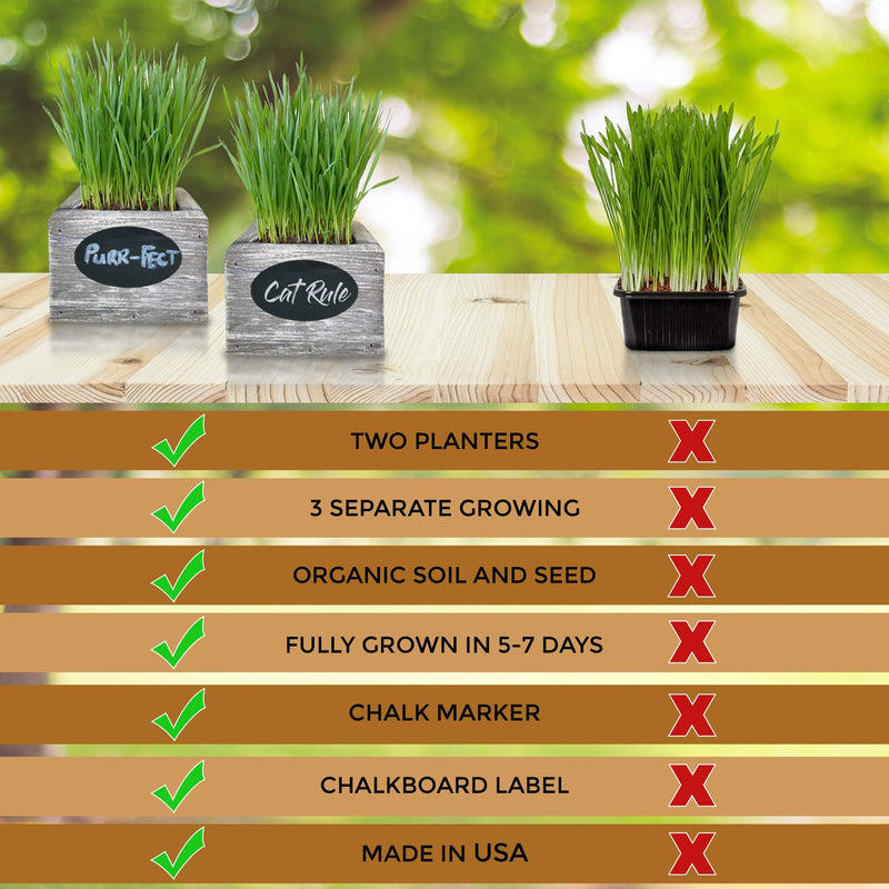 Cat Grass for Indoor Cats Kit – Organic Wheatgrass Seed & Soil, Hairball Remedy in Red Cedar Planter, Gift Box with Bonus Label, Pen & 10% Cat Treats Discount (Coast) Coast (1 Planters)