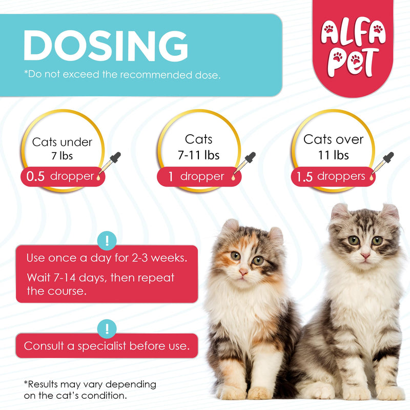 L Lysine for Cats with Taurine & Probiotic – A and B Vitamins Help with Watery Eyes, Sneezing, Cough, Allergies – Feline Upper Respiratory Supplement Works as a Natural Antibiotic for Cats – 2 Oz 2 Fl Oz
