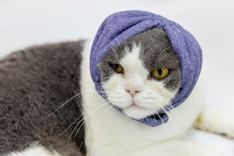 Cat Hematoma Ear Wrap,Noise Cancelling Calming Anxiety & Stress Relief - Ear Cover for cat Purple S Small