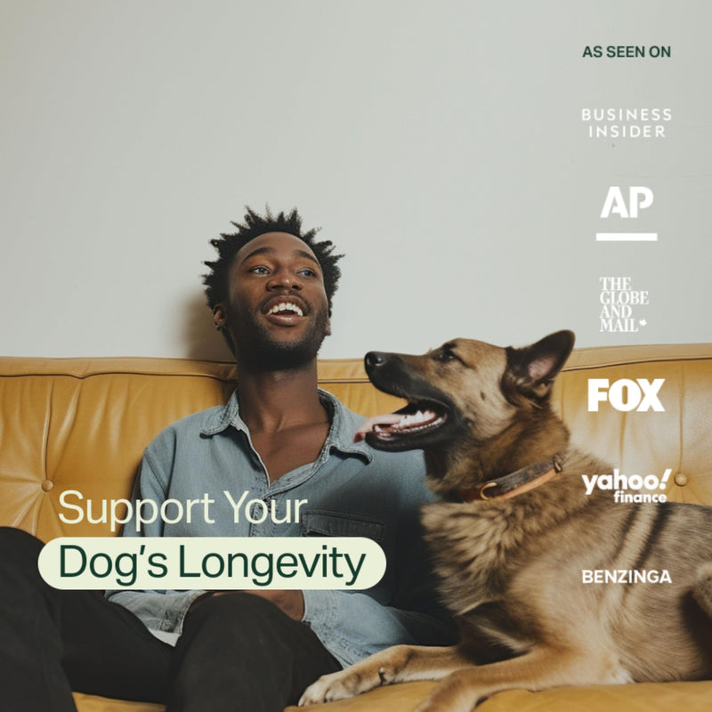 Longevity+ Dog Health Supplement - Dog Vitamins and Supplements for Joint, Muscle, Immune, and Cognitive Health - Vet-Formulated and Made in the USA - for Small Dogs 24 lbs or Less - 30 Day Supply Small Dog | (24lbs or less)