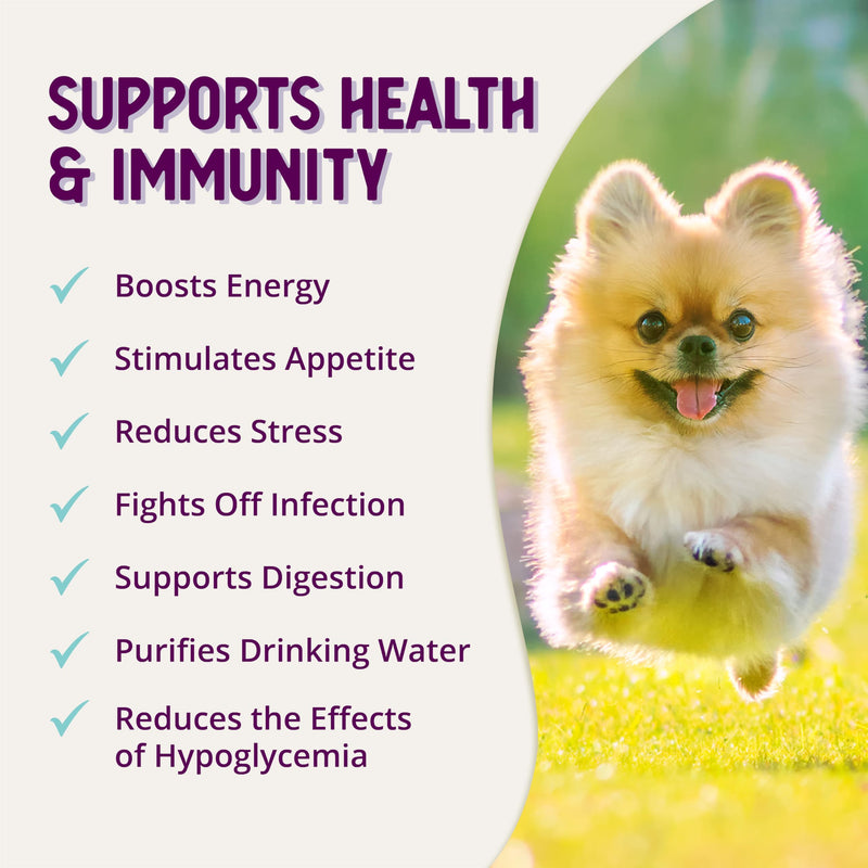 Health Extension Stress Relief Supplement for Dogs, 8oz - Appetite & Energy Boost, Prevents Hypoglycemia, Enriched with Vitamin B - PawsPlanet Australia