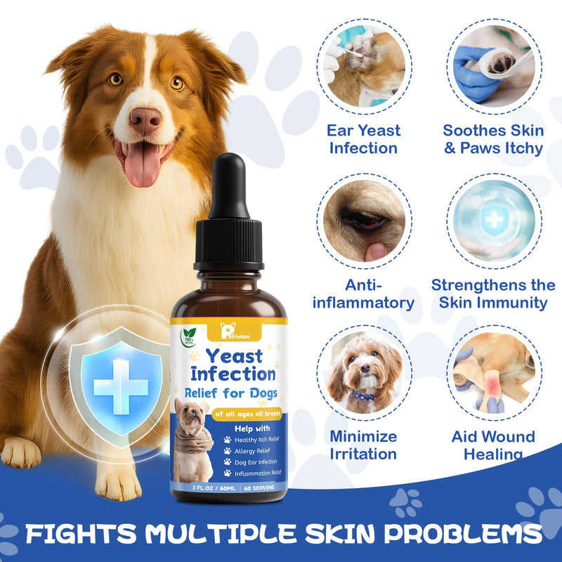 Yeast Infection Treatment for Dog, Natural Dog Yeast Infection Relief for Itchy Skin & Ear - Allergy & Paw Itching, Soothes Irritation & Reduces Inflammation Herbal Dog Supplement Drops 1-Pack