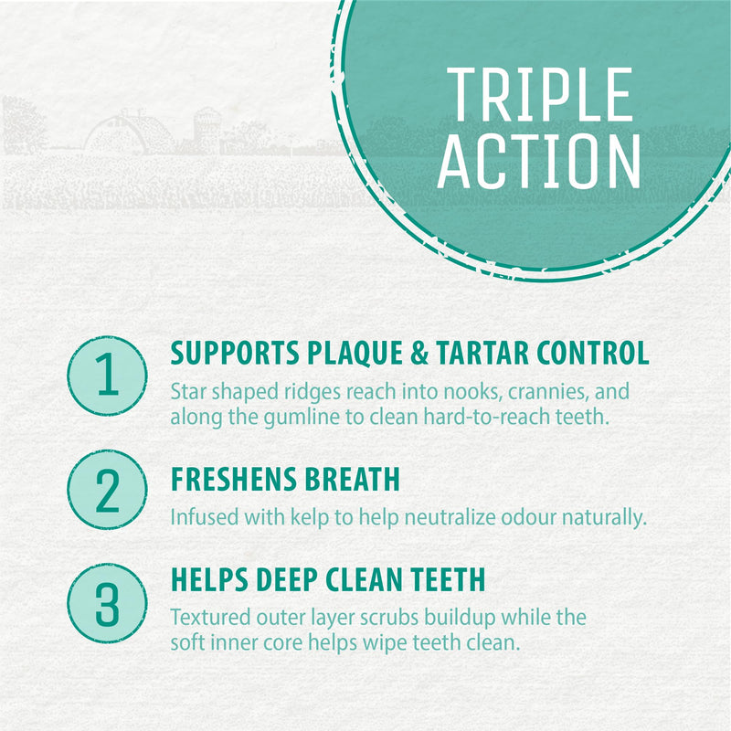 Plaque Busters Dental Sticks Triple Action Chicken and Bacon Flavour, 8.2 oz, Dog Treat