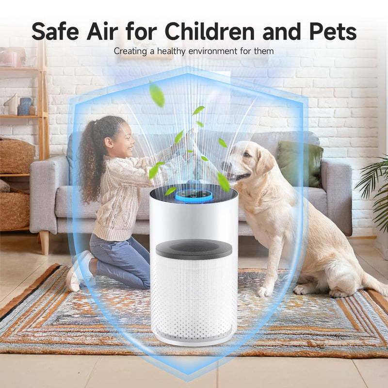 Replacement Filter for Cobectal & Oterbear ZQA-4000B, Hopmirth ZQA-4000C 2 Pack