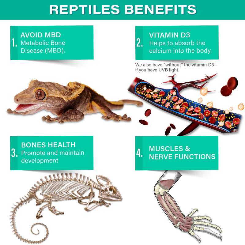 4oz All Reptile Calcium with Vitamin D3, Phosphorus-Free, Ultrafine Powder. Pure dust, Real Fruits Blend Flavored Ready to Use Supplement, for Lizards & Amphibians. Made in The USA. Enjoy ! Fruit Blend Calcium + D3 - PawsPlanet Australia