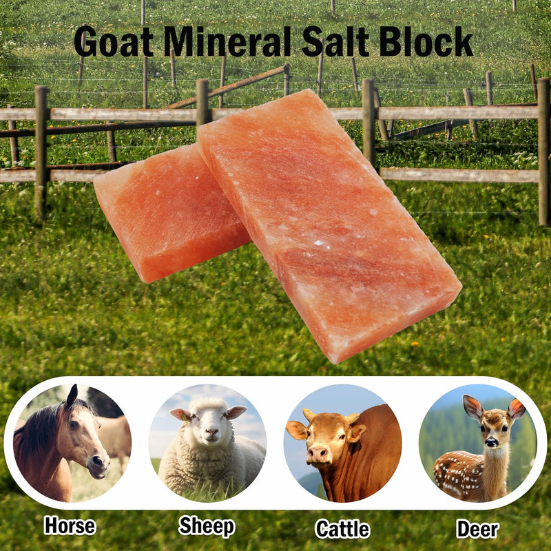 Himalayan Pink Salt Blocks for Horses,Natural Mineral Deer Salt Block Animal Licking Salt Rectangle Horse Salt Lick Brick for Cattle Goats Cows and Other Livestock(1 Pcs | 8 x 4 x1 Inches) - PawsPlanet Australia
