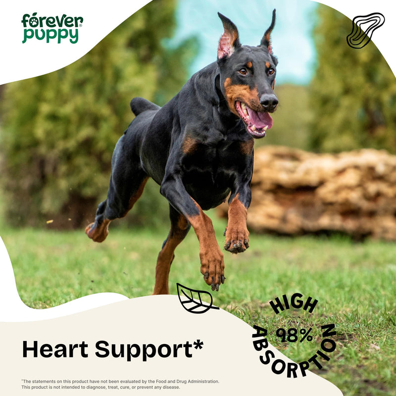 Forever Puppy Motherwort Drops for Dogs - Heart Support - Motherwort Herb Extract Supplement - Liquid Dog Vitamins and Supplements - Sugar & Alcohol-Free - 2 fl oz