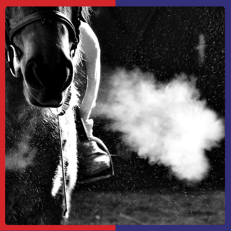 Equine America Airways Xtra Strength | Premium Ready To Use Horse & Pony Supplement | For Respiratory Support | 500g - PawsPlanet Australia